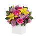 Serenade Flowers. Available at Petals for $85.00