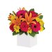 Starburst Splash Flowers. Available at Petals for $90.00
