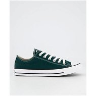 Detailed information about the product Converse Ct All Star Low Top Dragon Scale