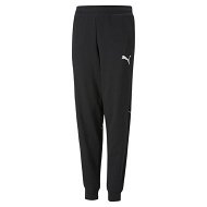 Detailed information about the product Active Sports Sweatpants - Boys 8