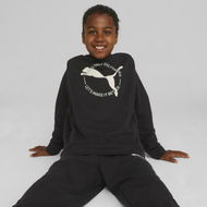 Detailed information about the product Better Sportswear Youth Hoodie in Black, Size XS, Cotton by PUMA