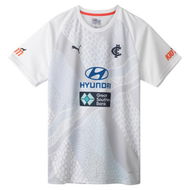 Detailed information about the product Carlton Football Club 2024 Menâ€™s Replica Training T