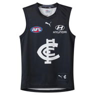 Detailed information about the product Carlton Football Club 2024 Replica HOME Guernsey - Youth 8