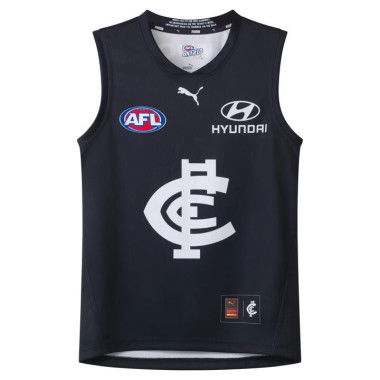 Carlton Football Club 2025 Youth Replica Home Guernsey in Dark Navy/Blue Nights/Cfc, Size Medium by PUMA