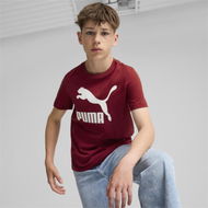 Detailed information about the product Classics B T-Shirt - Boys 8