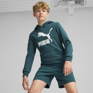 Detailed information about the product Classics Logo Hoodie - Boys 8