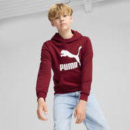 Detailed information about the product Classics Logo Hoodie - Boys 8