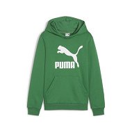 Detailed information about the product Classics Logo Hoodie Youth in Archive Green, Size 4T, Cotton by PUMA