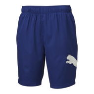 Detailed information about the product Essential Regular Fit Woven 9 Men's Shorts in Elektro Blue, Size 2XL, Polyester by PUMA