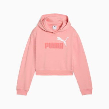 ESSENTIALS 2 Colour No. 1 Logo Hoodie - Youth 8