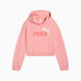 ESSENTIALS 2 Colour No. 1 Logo Hoodie - Youth 8. Available at Puma for $60.00