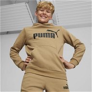 Detailed information about the product Essentials Big Logo Hoodie Youth in Toasted, Size 2T, Cotton by PUMA