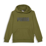 Detailed information about the product Essentials Boys Hoodie in Olive Green, Size 4T, Cotton by PUMA