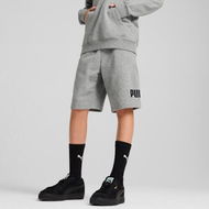 Detailed information about the product Essentials No. 1 Logo Shorts - Youth 8