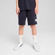 Detailed information about the product Essentials No. 1 Logo Shorts - Youth 8