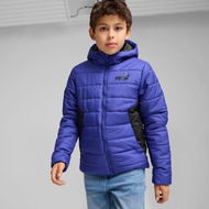 Detailed information about the product Essentials Padded Jacket - Youth 8