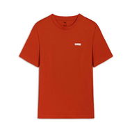 Detailed information about the product Essentials Small Logo Men's T