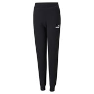 Detailed information about the product Essentials Sweatpants Youth in Black, Size 2T, Cotton/Polyester by PUMA