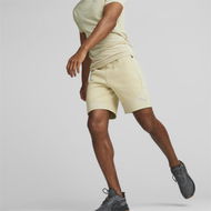 Detailed information about the product EVOSTRIPE Men's Shorts in Granola, Size Small, Polyester/Cotton by PUMA