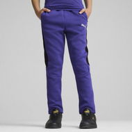 Detailed information about the product EVOSTRIPE Pants - Youth 8