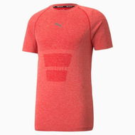 Detailed information about the product Favourite evoKNIT Short Sleeve Men's Training T
