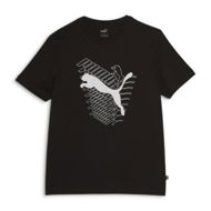 Detailed information about the product GRAPHICS Cat Men's T