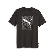 Detailed information about the product GRAPHICS Men's T