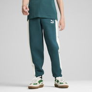 Detailed information about the product Iconic T7 Track Pants - Youth 8