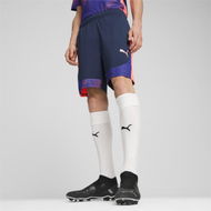 Detailed information about the product individualFINAL Men's Shorts in Club Navy/Dark Amethyst, Size Small, Polyester by PUMA