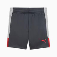 Detailed information about the product IndividualLIGA Football Training Shorts - Youth 8