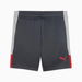 IndividualLIGA Football Training Shorts - Youth 8. Available at Puma for $35.00