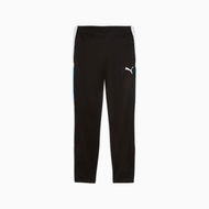 Detailed information about the product individualLIGA Men's Training Pants in Black/White/Ultra Blue, Size Small, Polyester by PUMA
