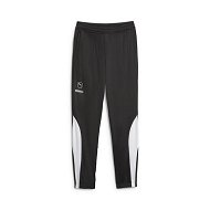 Detailed information about the product KING Pro Men's Football Training Pants in Black/White, Size 2XL, Polyester by PUMA