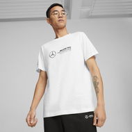 Detailed information about the product Mercedes-AMG Petronas Motorsport Men's Logo T