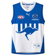 Detailed information about the product North Melbourne Football Club 2024 Replica Away Guernsey - Youth 8