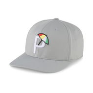 Detailed information about the product Palmer P Golf Cap in Ash Gray/White Glow, Polyester/Elastane by PUMA