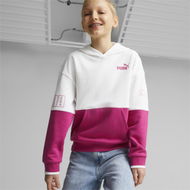 Detailed information about the product Power Colour Block Girls' Hoodie in Orchid Shadow, Size 5, Cotton by PUMA