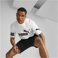 Detailed information about the product POWER Men's Colourblock T