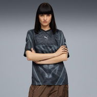 Detailed information about the product PUMATECH All