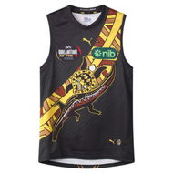 Detailed information about the product Richmond Football Club 2024 Menâ€™s Replica Dreamtime Guernsey in Black/Vibrant Yellow/Rfc, Size Medium by PUMA