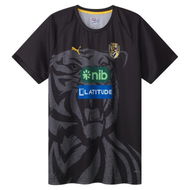 Detailed information about the product Richmond Football Club 2025 Men's Training T