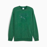 Detailed information about the product X TMNT Men's Relaxed Graphic Crew Top in Vine, Size Small by PUMA