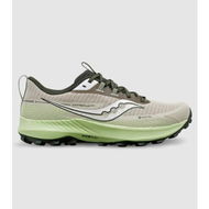 Detailed information about the product Saucony Peregrine 13 Gore (Grey - Size 10)