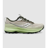 Detailed information about the product Saucony Peregrine 13 Gore (Grey - Size 8.5)
