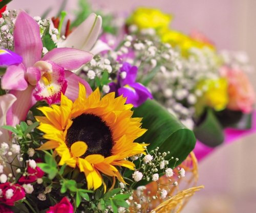 Read more about The Flower Guide to Making Special Occasions Memorable