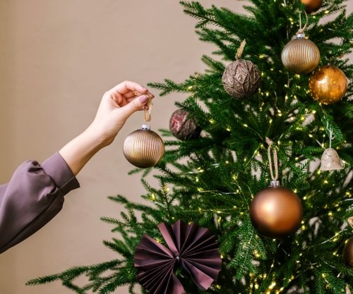 Read more about The Magic of Christmas Trees & Christmas Decorations